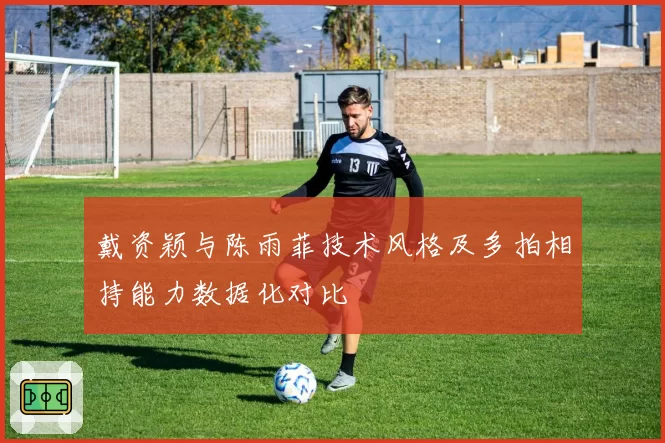 戴资颖与陈雨菲技术风格及多拍相持能力数据化对比
