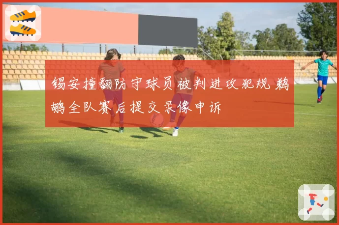 锡安撞翻防守球员被判进攻犯规 鹈鹕全队赛后提交录像申诉