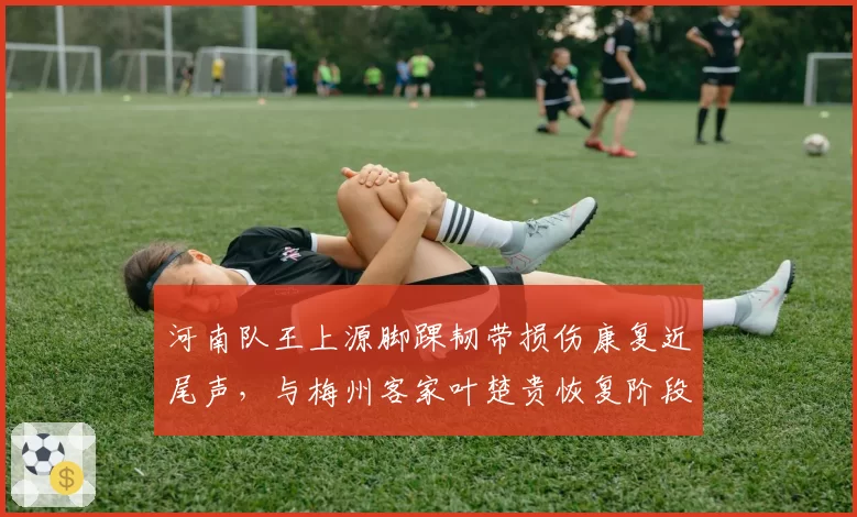 河南队王上源脚踝韧带损伤康复近尾声，与梅州客家叶楚贵恢复阶段相似