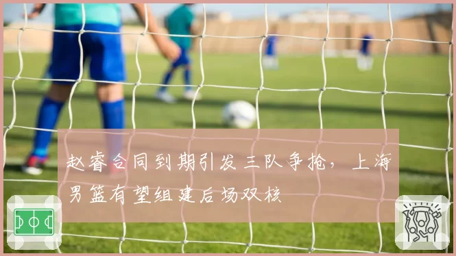 赵睿合同到期引发三队争抢，上海男篮有望组建后场双核