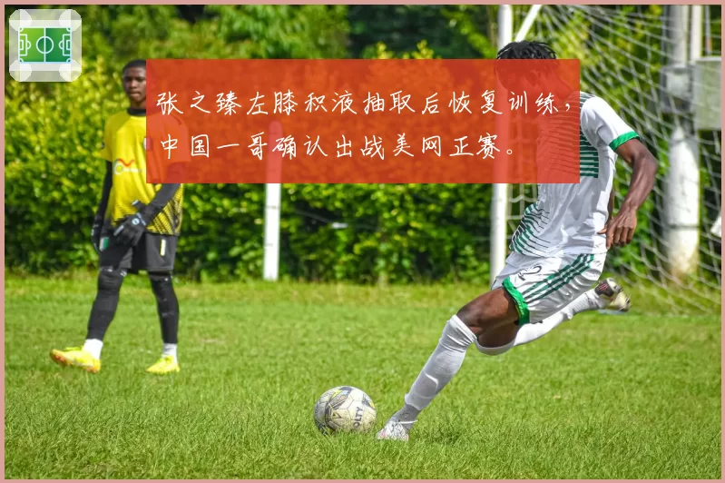 张之臻左膝积液抽取后恢复训练,中国一哥确认出战美网正赛。
